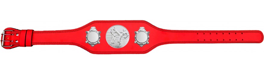 KICKBOXING CHAMPIONSHIP TITLE BELT-BUD003/S/KBOS - 4 COLOURS